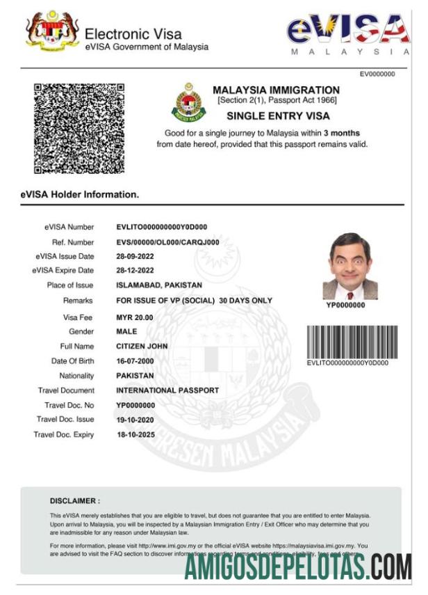 Visto MALÁSIA E baixar para verificação